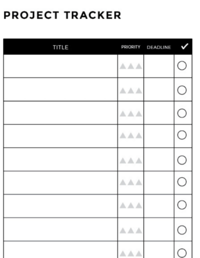 the biz organizeher™ planning system project tracking sheet
